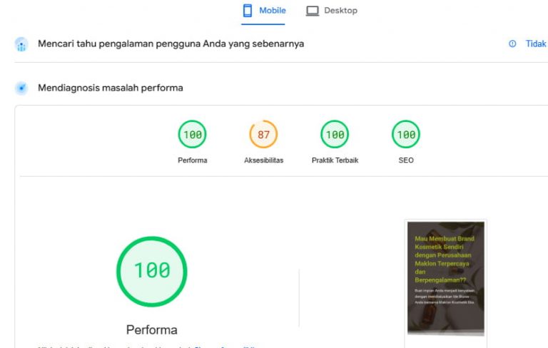 page speed 100